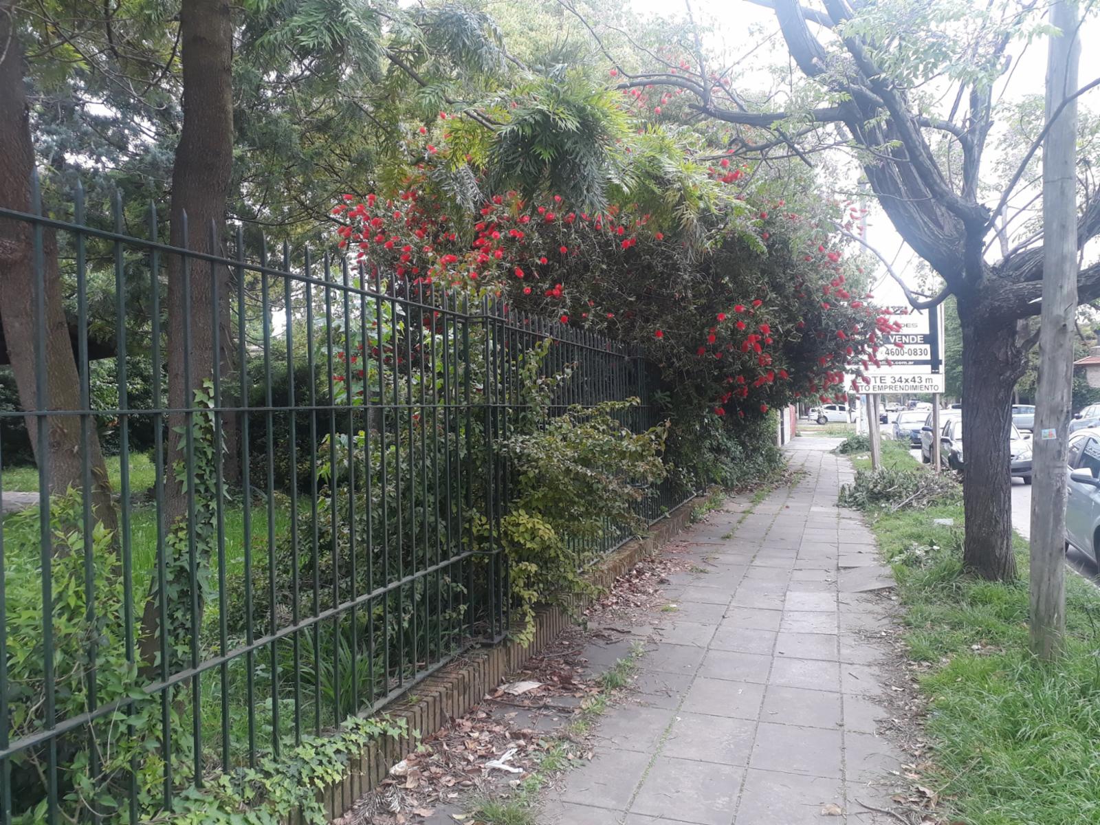 Lote En Venta 1500m2 Gelpi 800. Aprobada Edificios — foto 7
