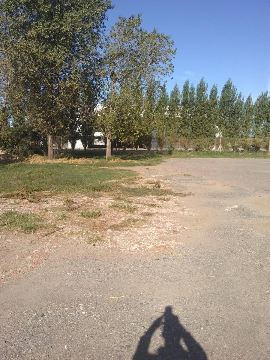 Importante lote industrial en San lorenzo - 3