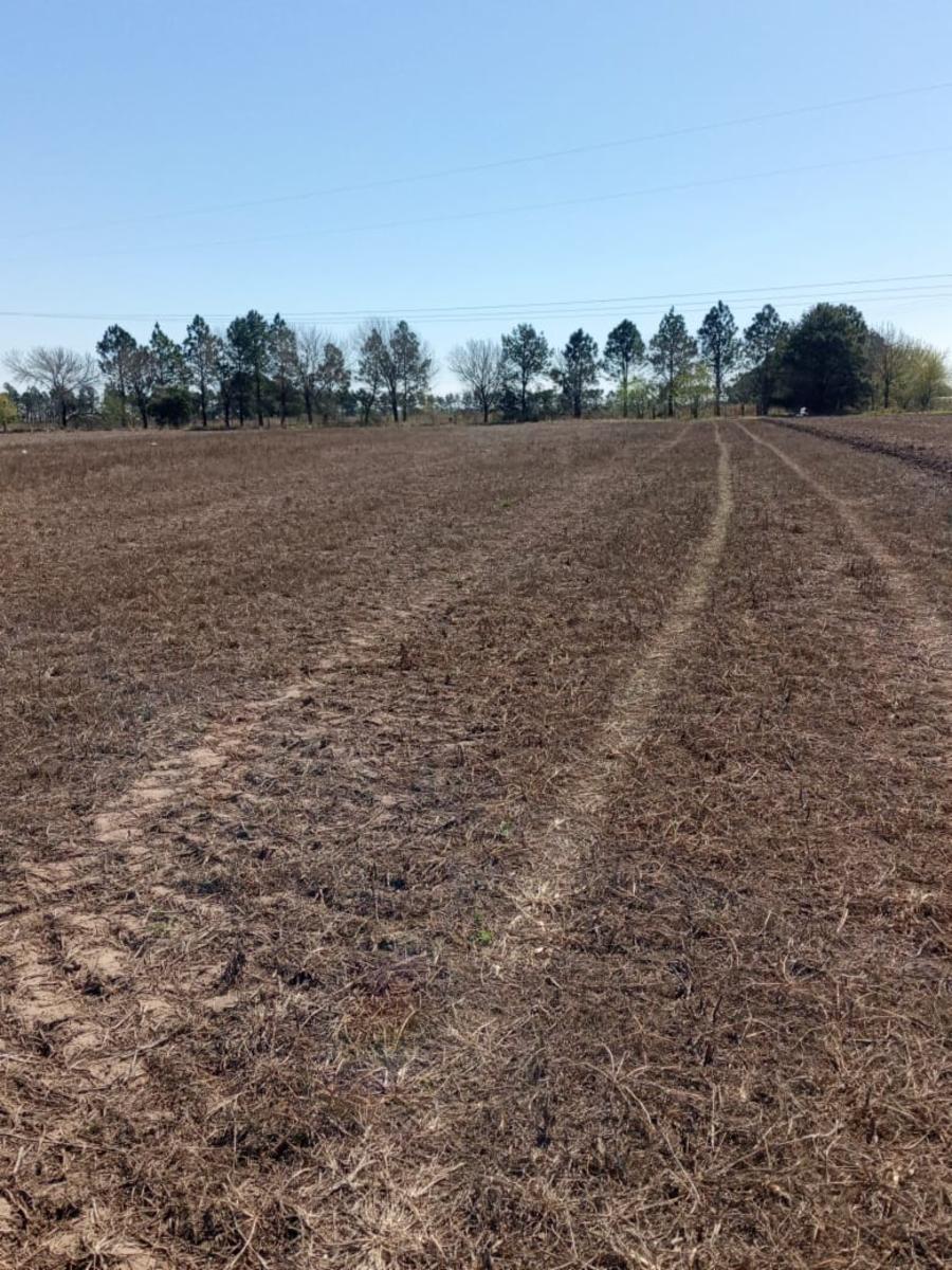 Terreno Industrial DE 15.000 mts CASI Autopista acc a ALVEAR