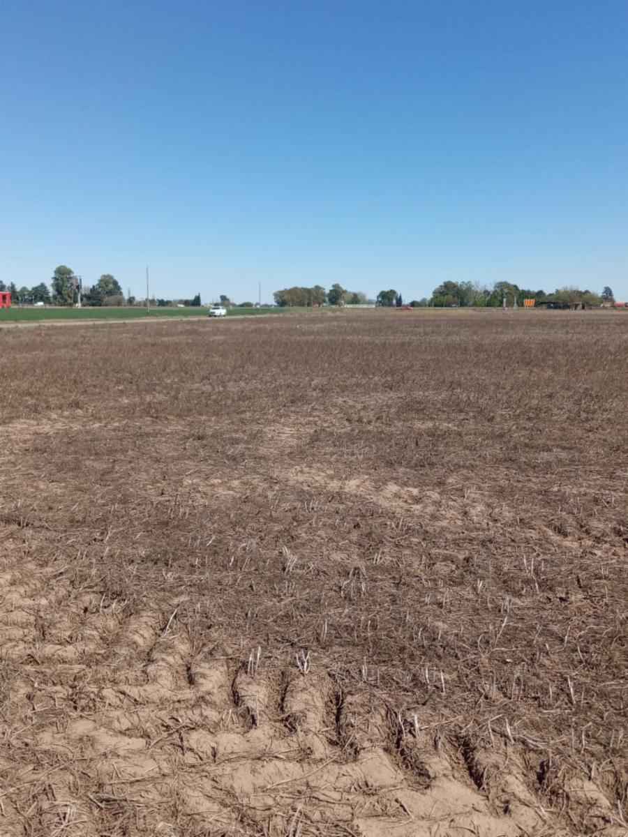 Terreno Industrial DE 15.000 mts CASI Autopista acc a ALVEAR — foto 2
