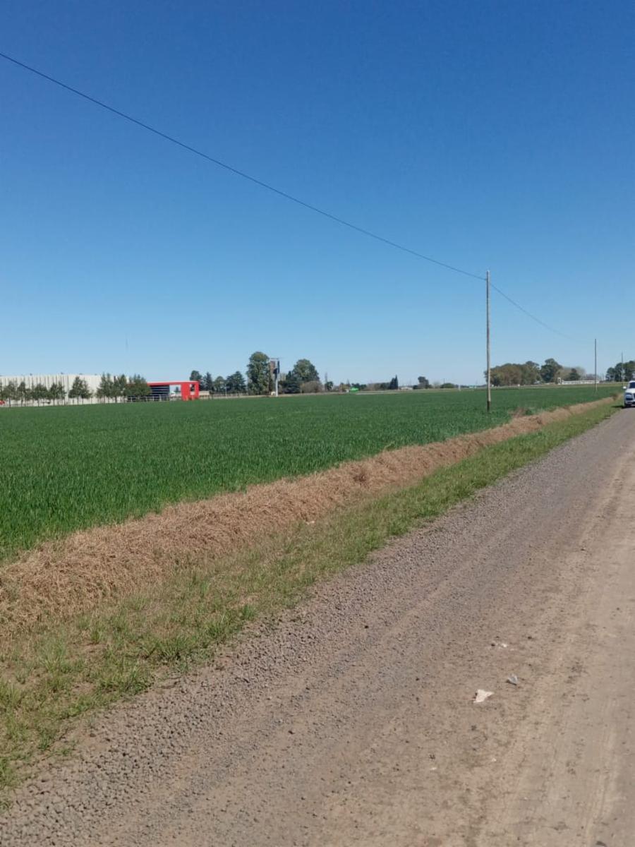 Terreno Industrial DE 15.000 mts CASI Autopista acc a ALVEAR — foto 3