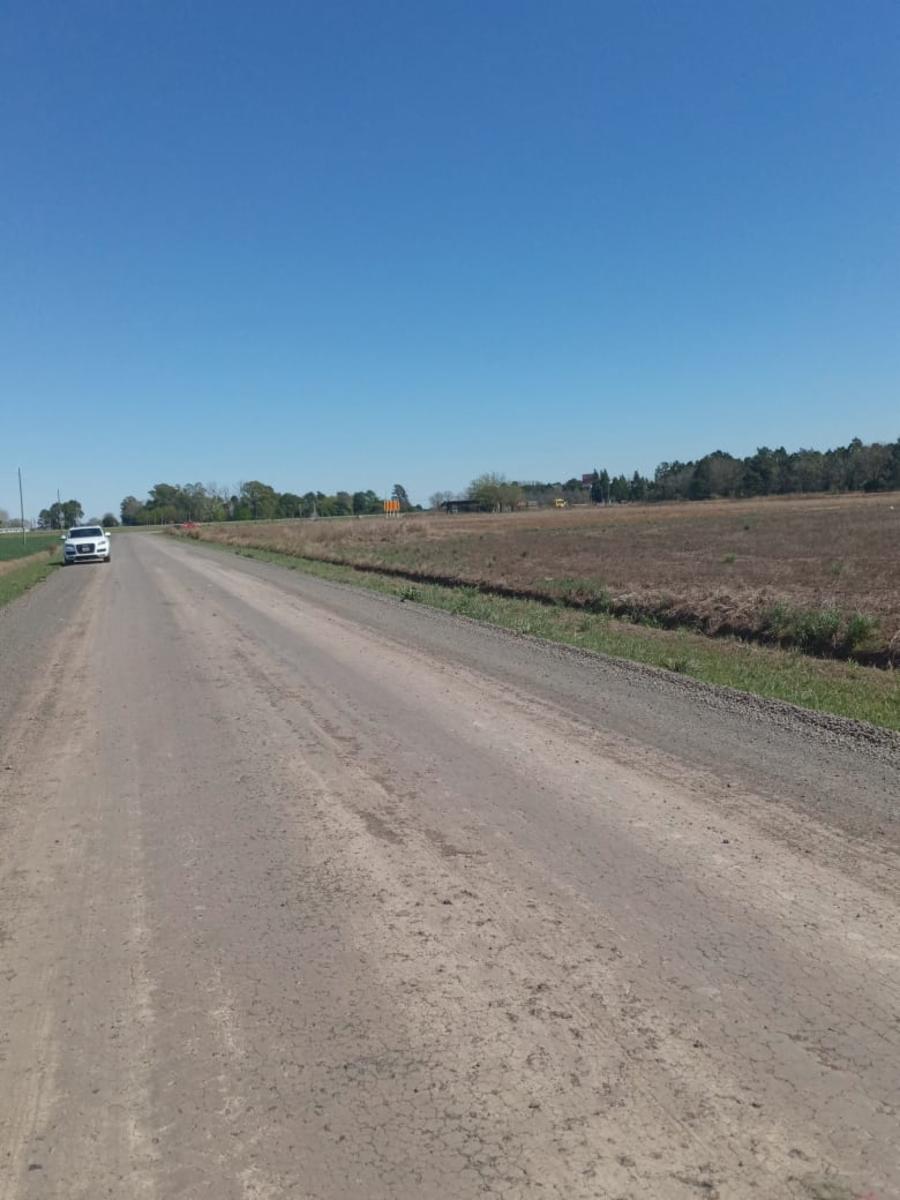 Terreno Industrial DE 15.000 mts CASI Autopista acc a ALVEAR — foto 5