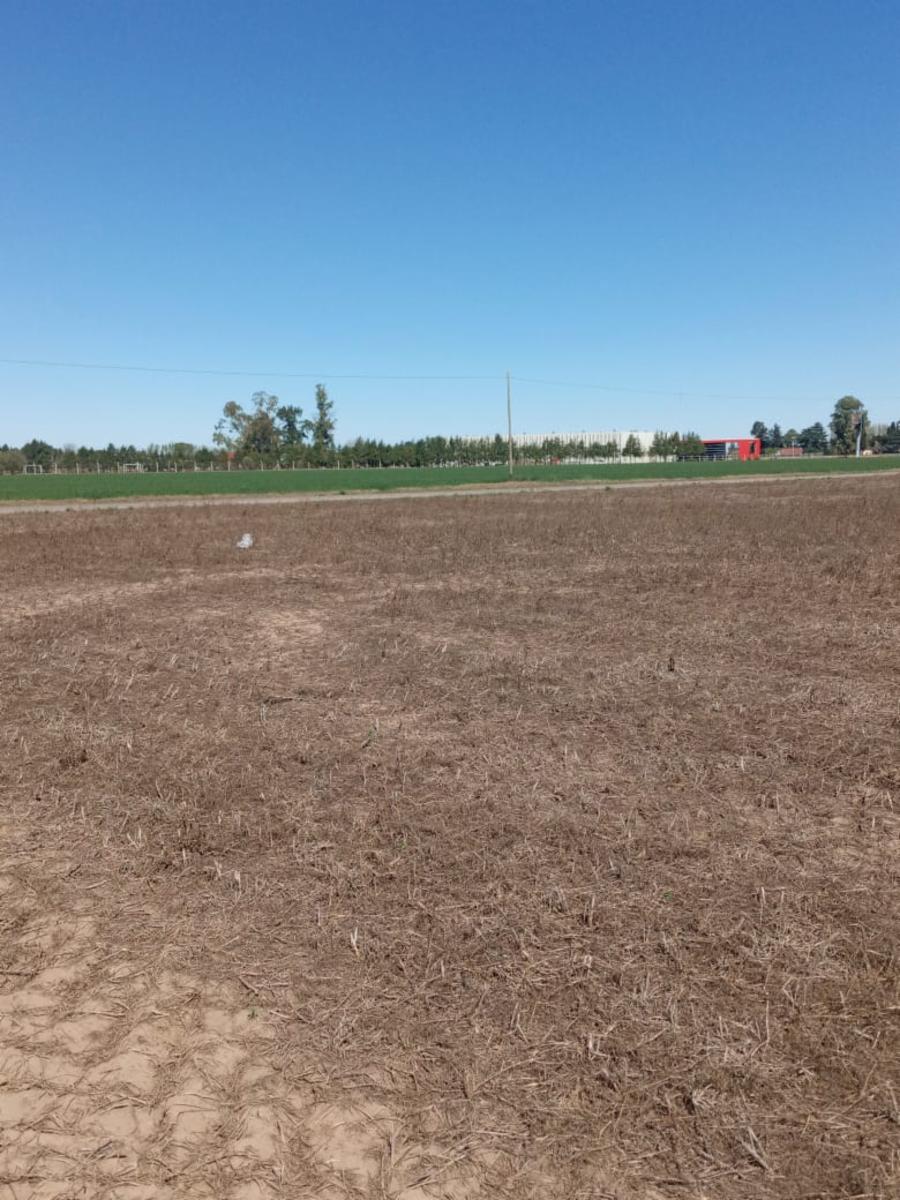 Terreno Industrial DE 15.000 mts CASI Autopista acc a ALVEAR — foto 6