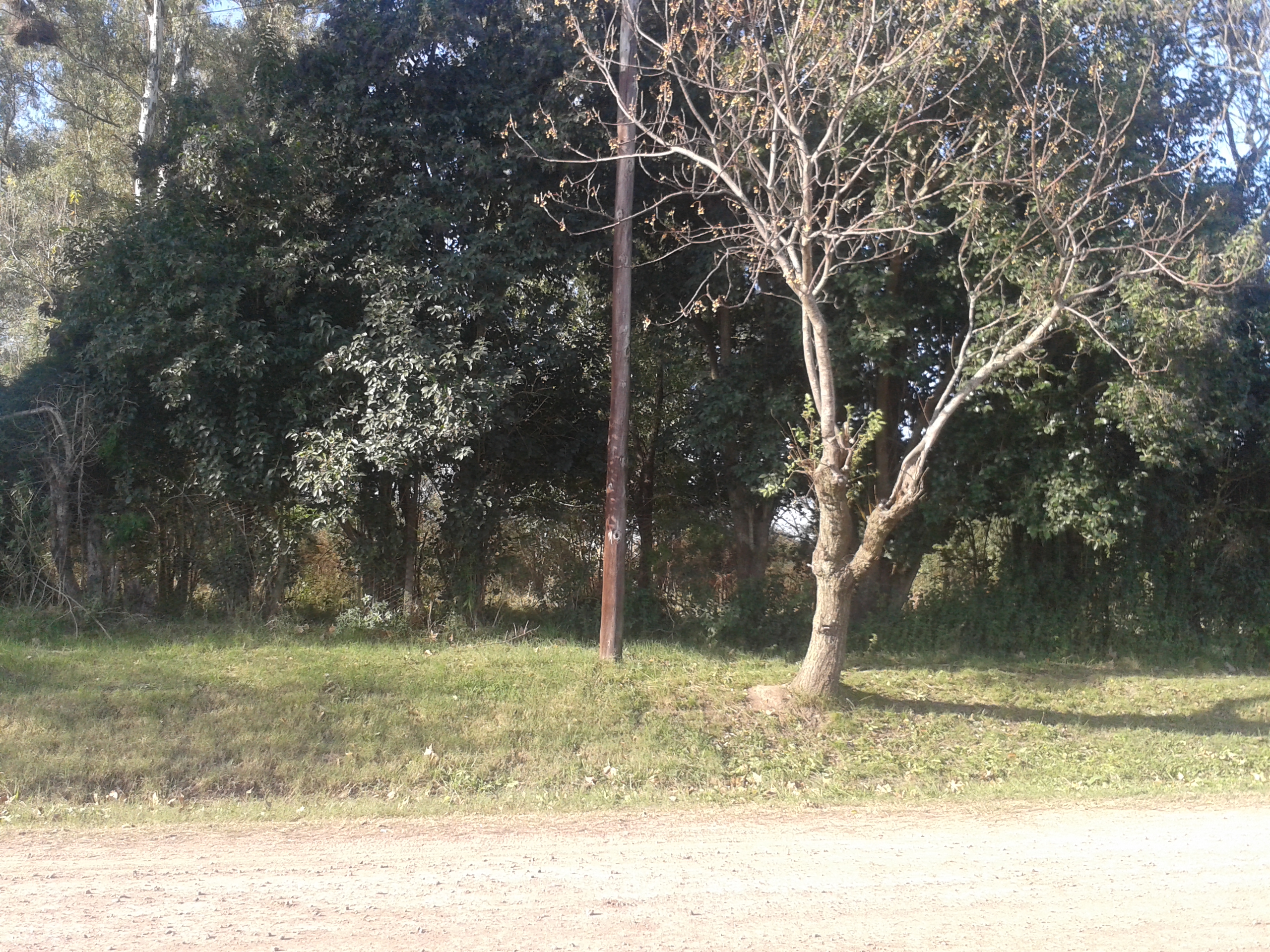 TERRENOS EN MELINCUÉ - 3