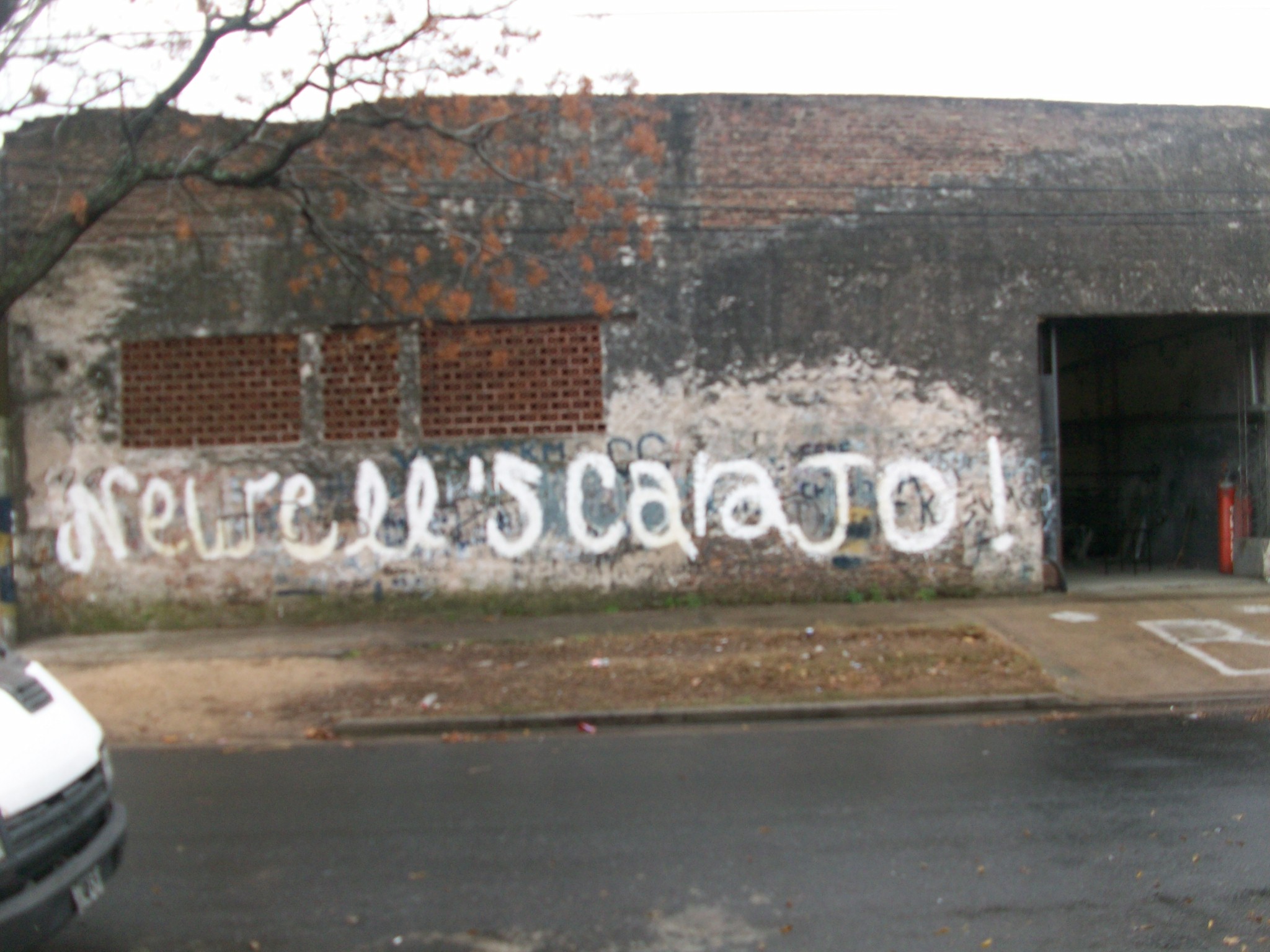 Imperdible Galpón en Viedma al 600 — foto 14
