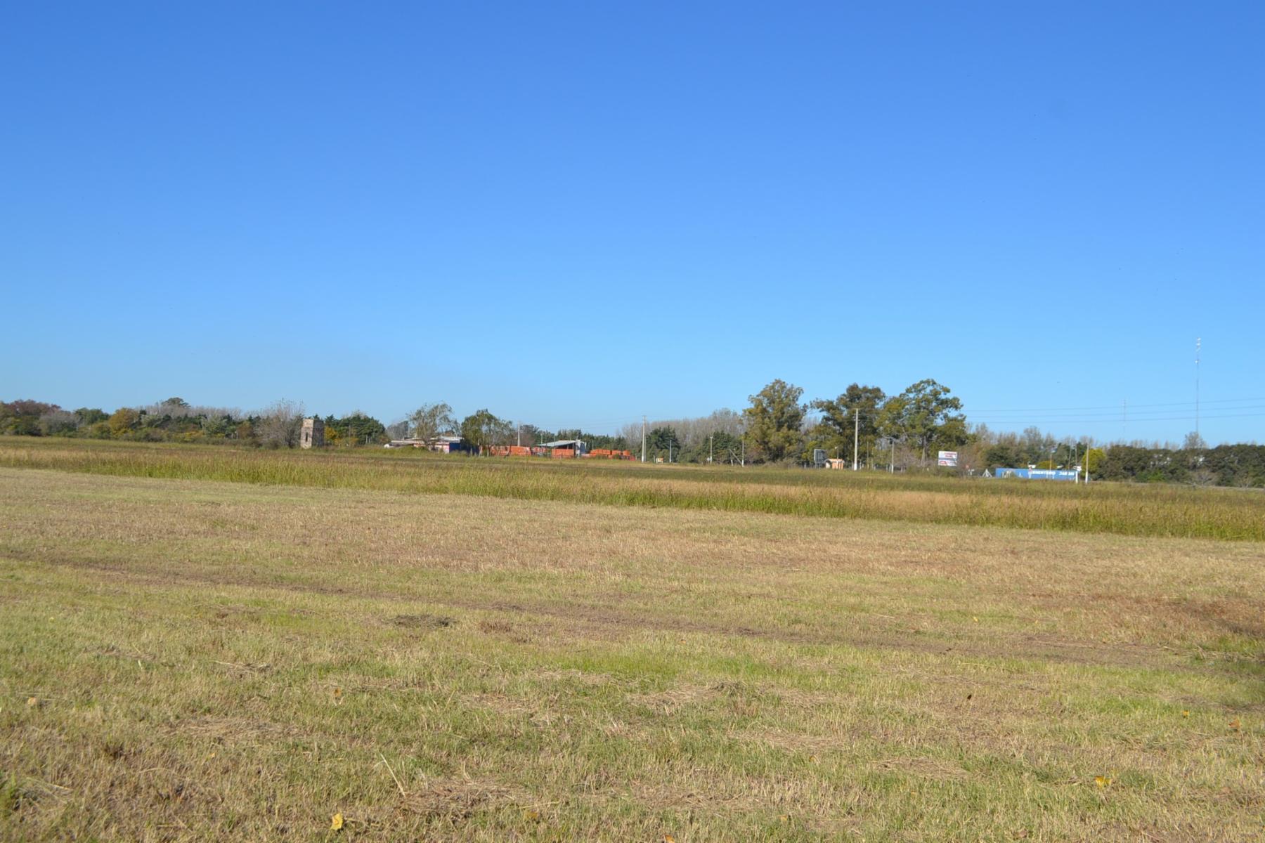TERRENO EN VENTA SOBRE RUTA 34 - IBARLUCEA — foto 12