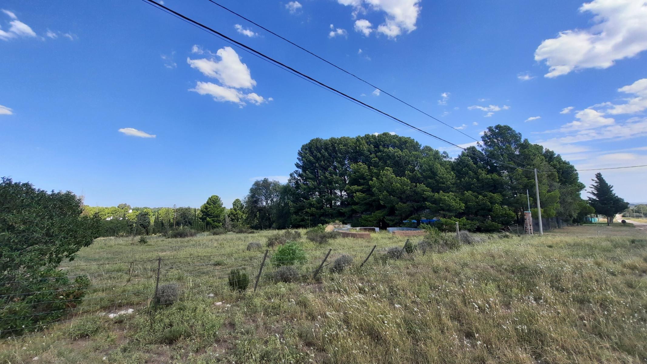 VENTA DE TERRENO EN BARRIO SAN CARLOS — foto 2