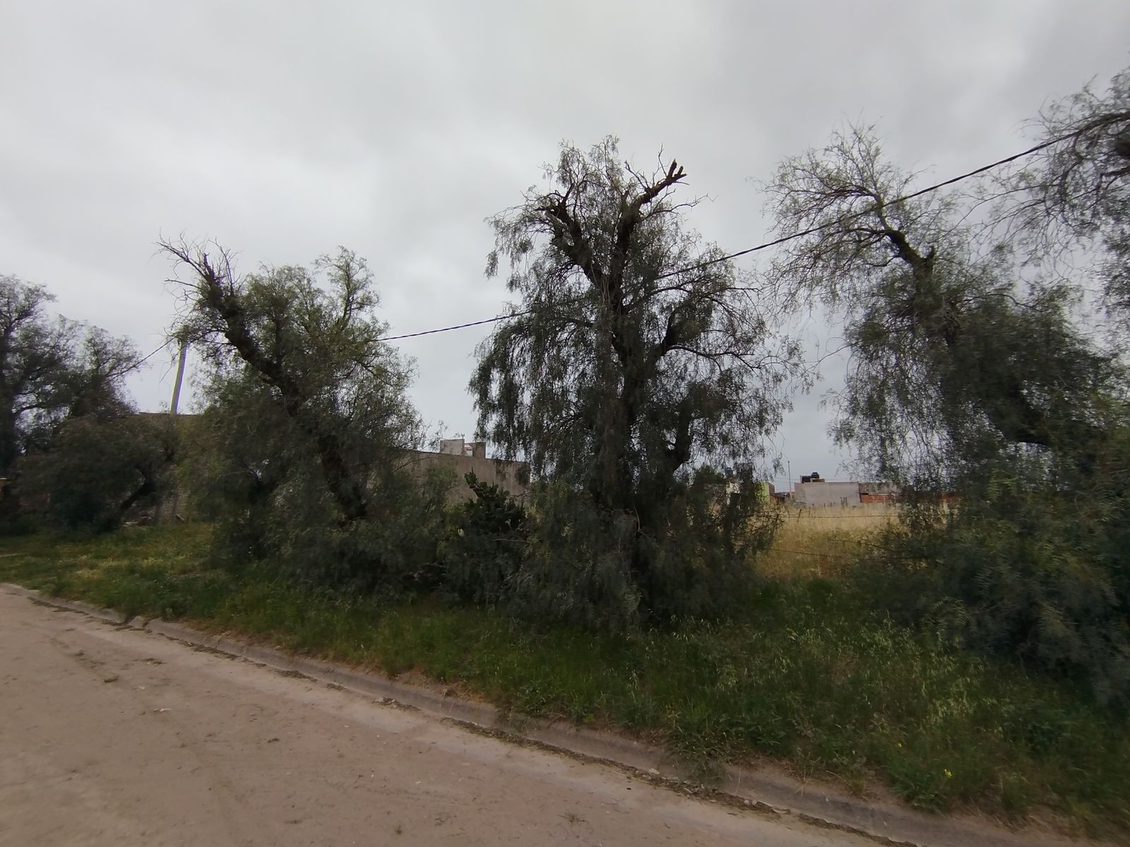 TERRENO EN VENTA EN VILLA HARDING GREEN — foto 3