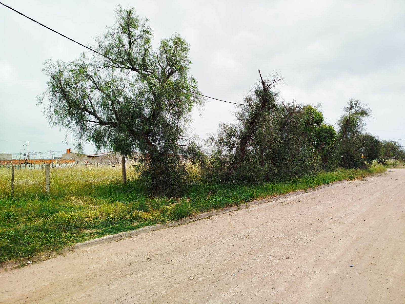 TERRENO EN VENTA EN VILLA HARDING GREEN — foto 4