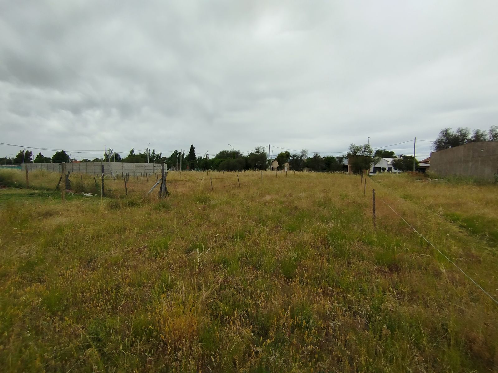 TERRENO EN VENTA EN VILLA HARDING GREEN — foto 7