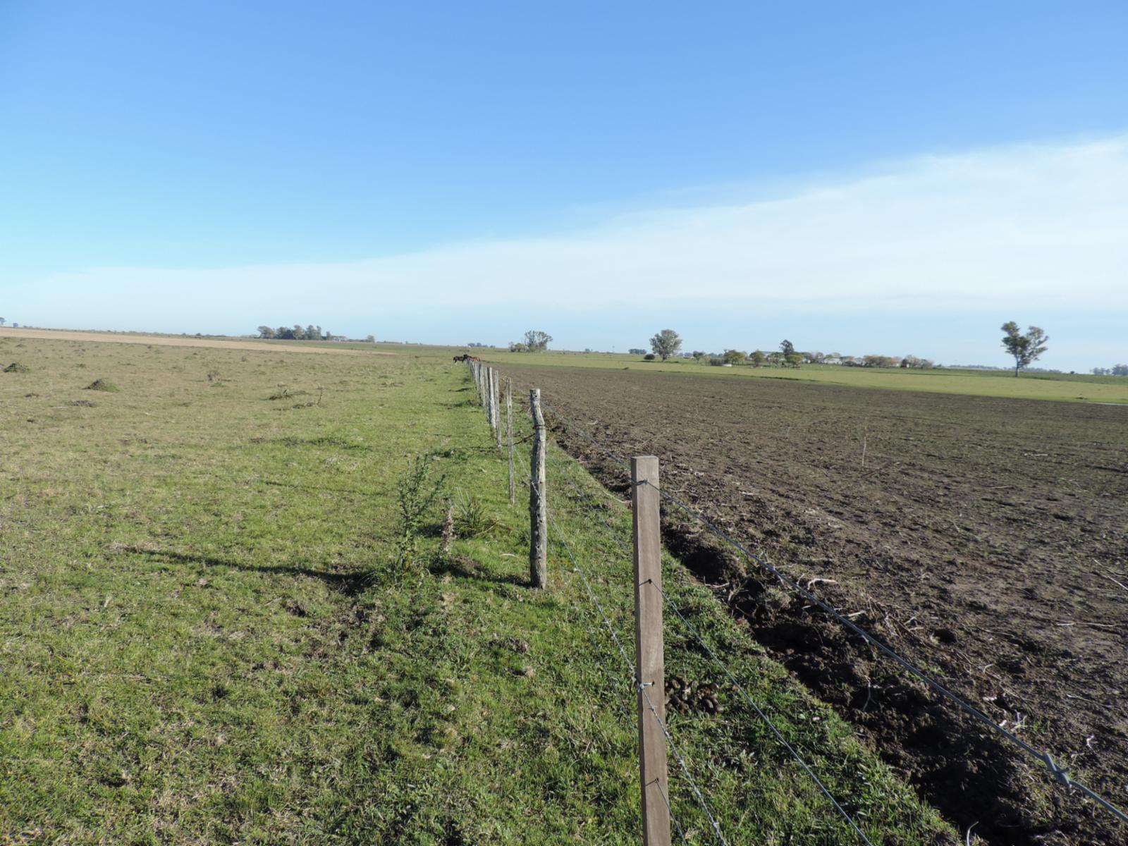 49 HECTAREAS AGRICOLAS/GANADERAS - 2