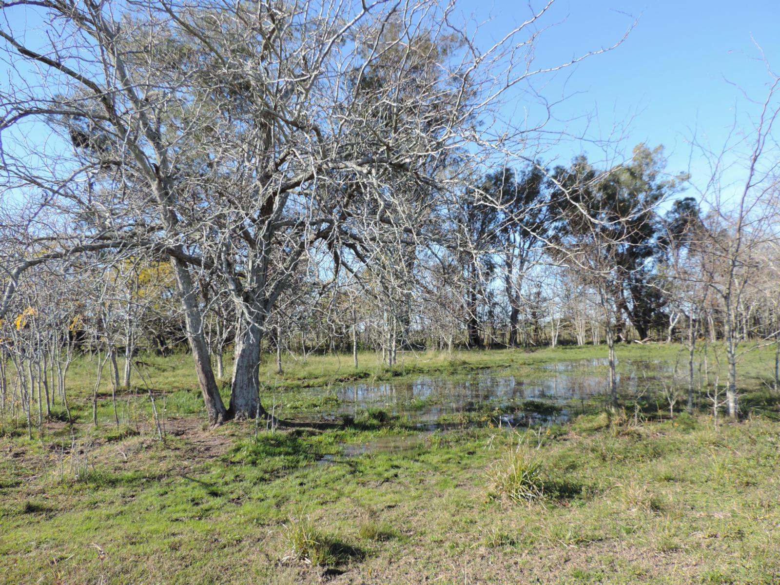 49 HECTAREAS AGRICOLAS/GANADERAS - 3