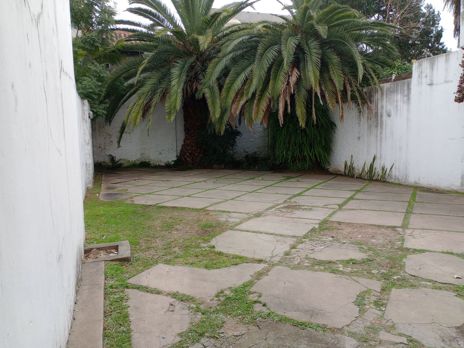 DEPARTAMENTO 2 AMB. CON COCHERA. SAN ISIDRO . - 21
