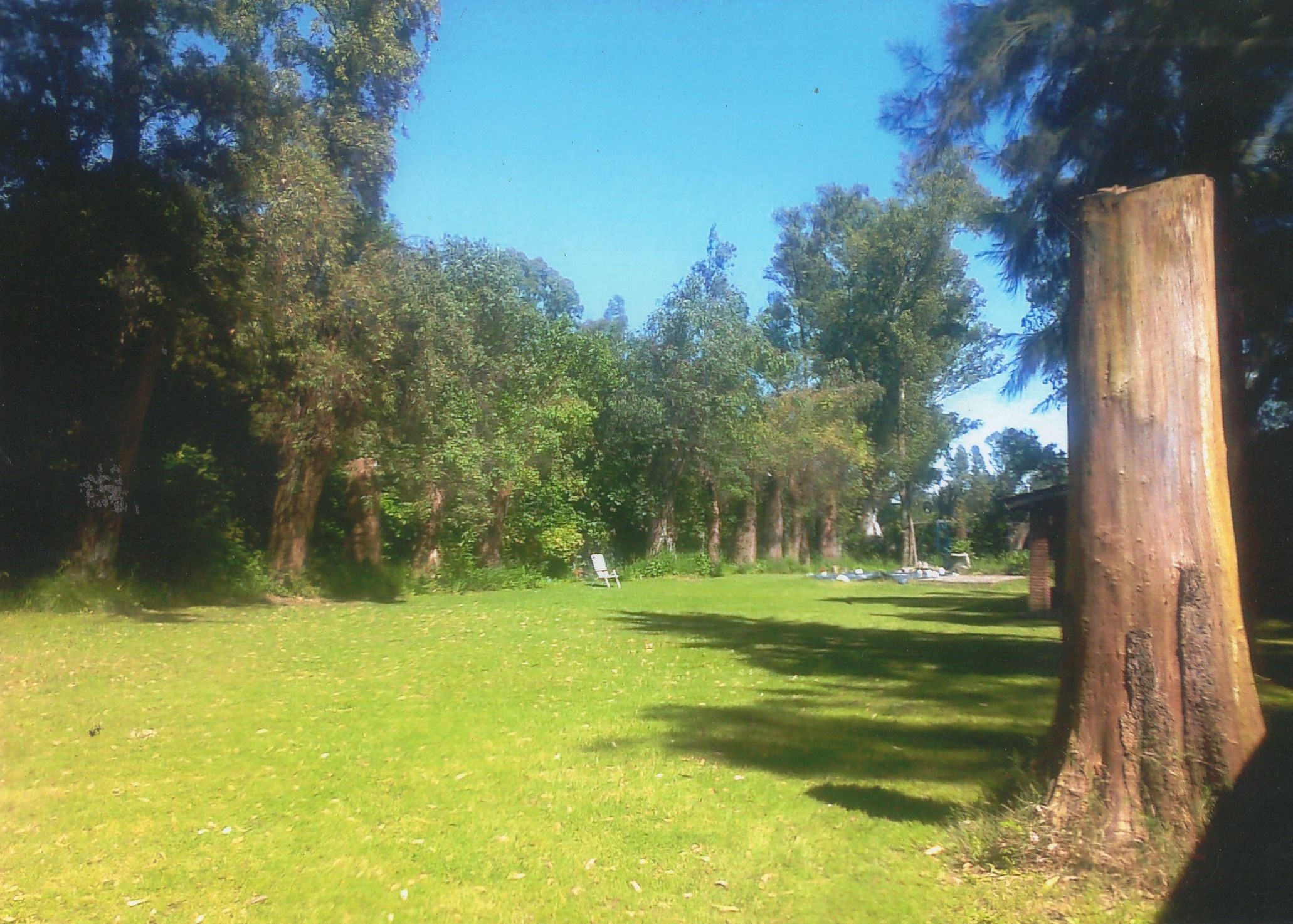 QUINTA CON PILETA EN GRAL RODRIGUEZ A METROS DE ACCESO OESTE Y RUTA 24 — foto 5