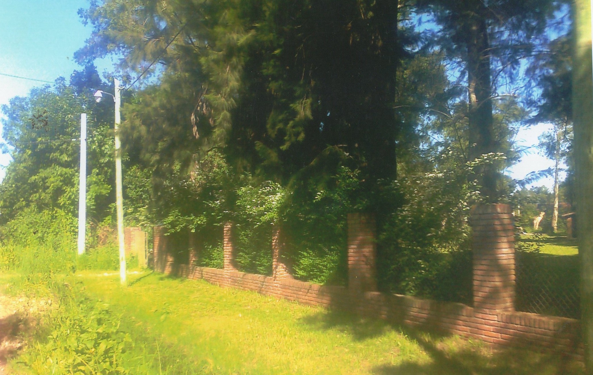 QUINTA CON PILETA EN GRAL RODRIGUEZ A METROS DE ACCESO OESTE Y RUTA 24 — foto 9