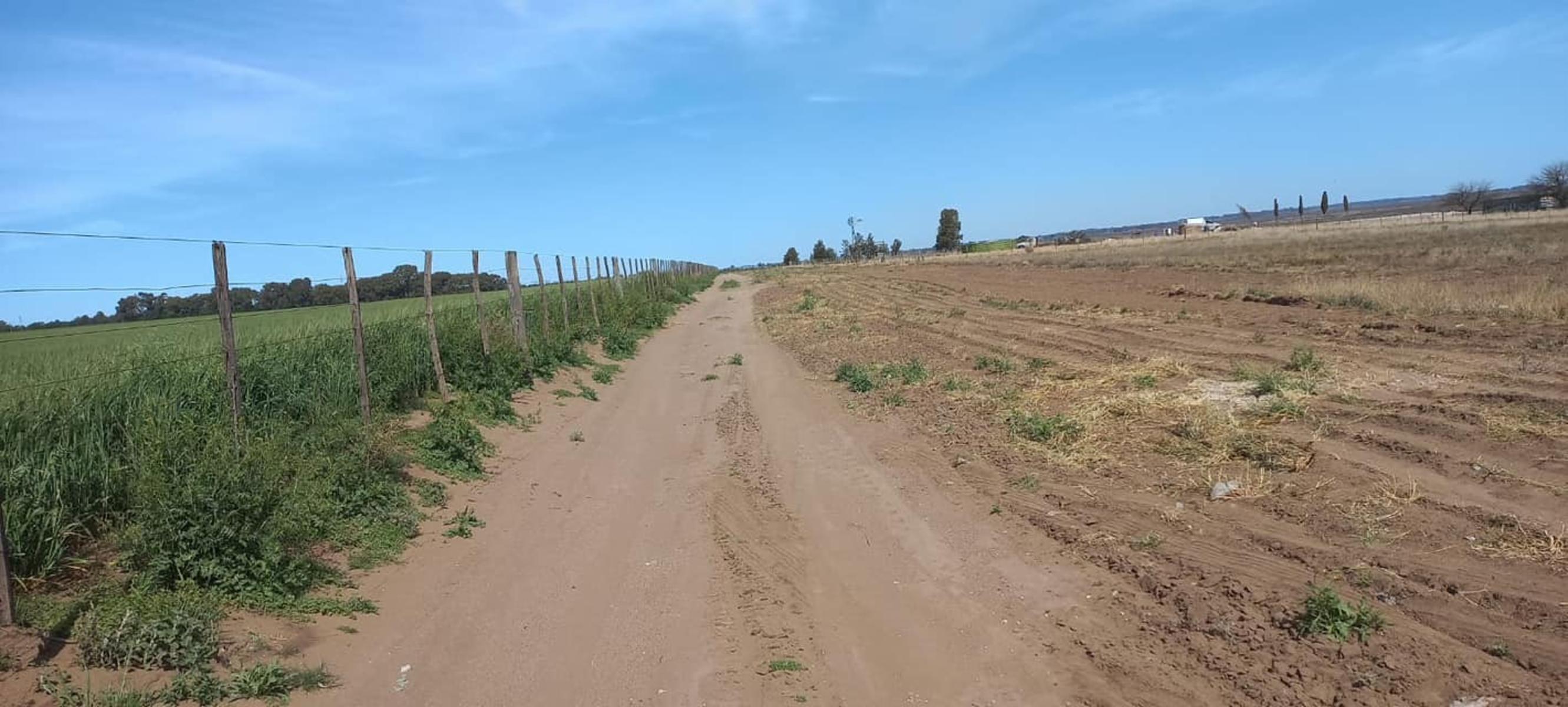 EN VENTA Excelente lote de 4444mt2 para diversos usos — foto 2