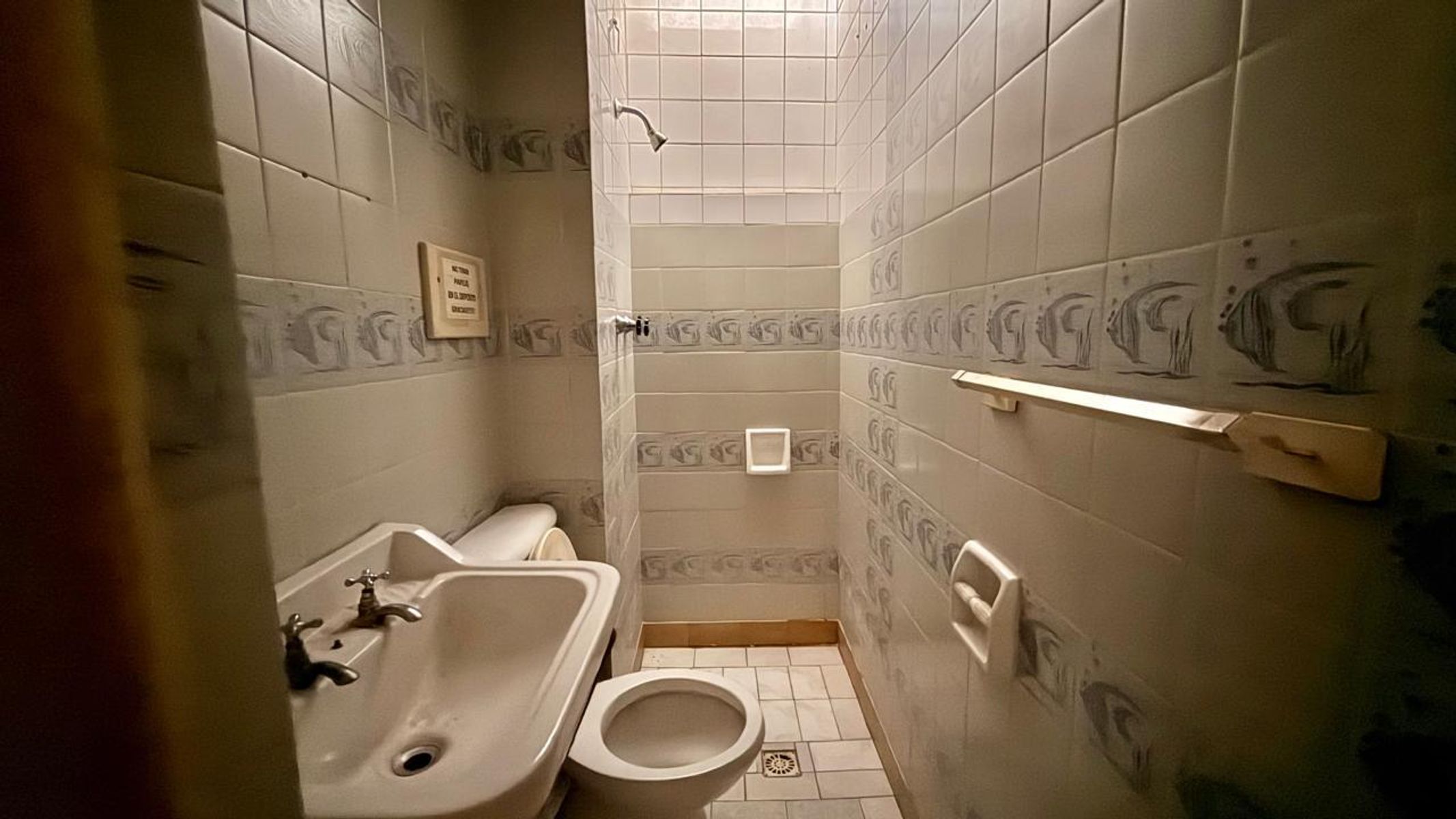 VENTA DE TRES LOCALES CON INGRESO PROPIO EN ESQUINA, RONDEAU 1600- BAHIA BLANCA - 9