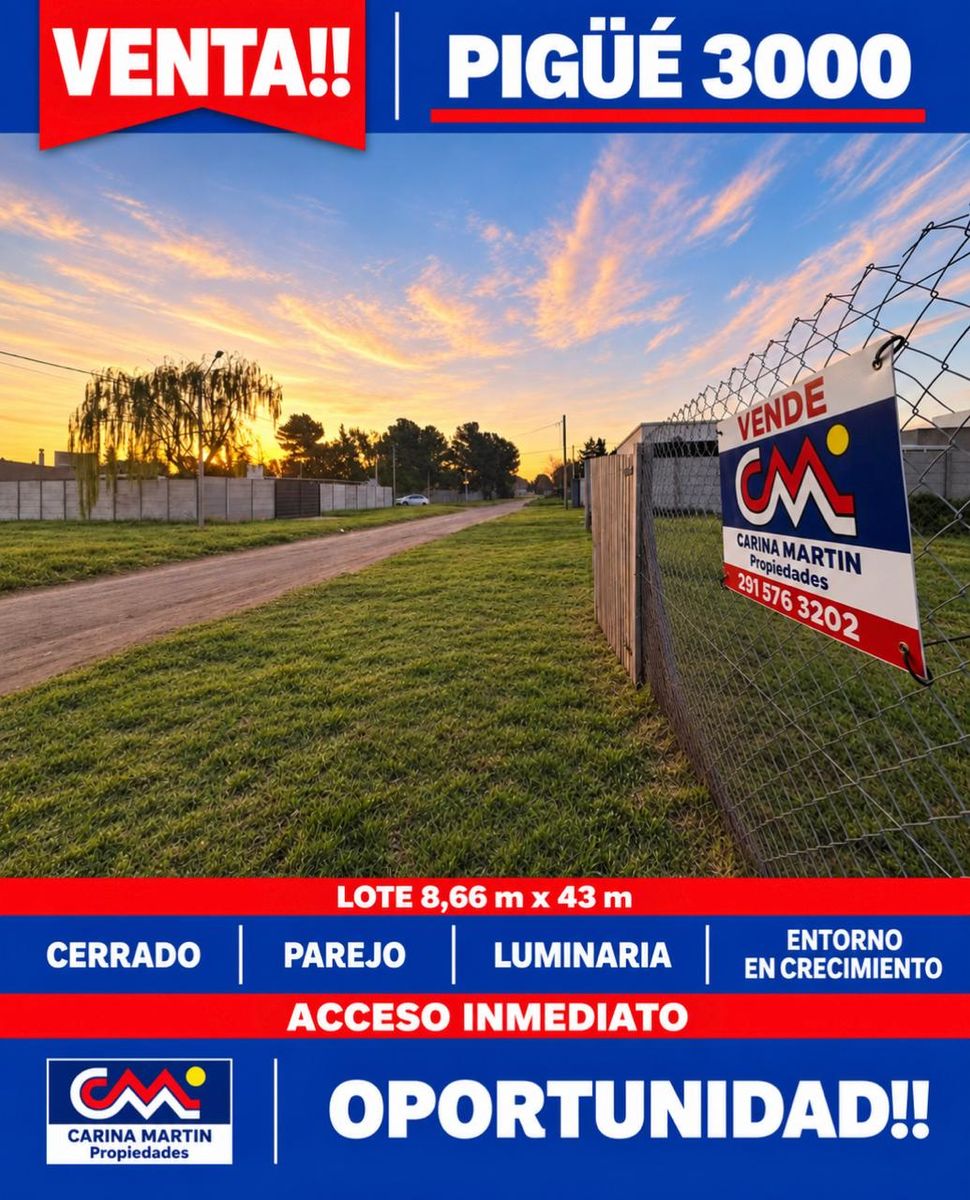 VENTA DE LOTE 8.66X43, PIGÜE 3000, BAHIA BLANCA