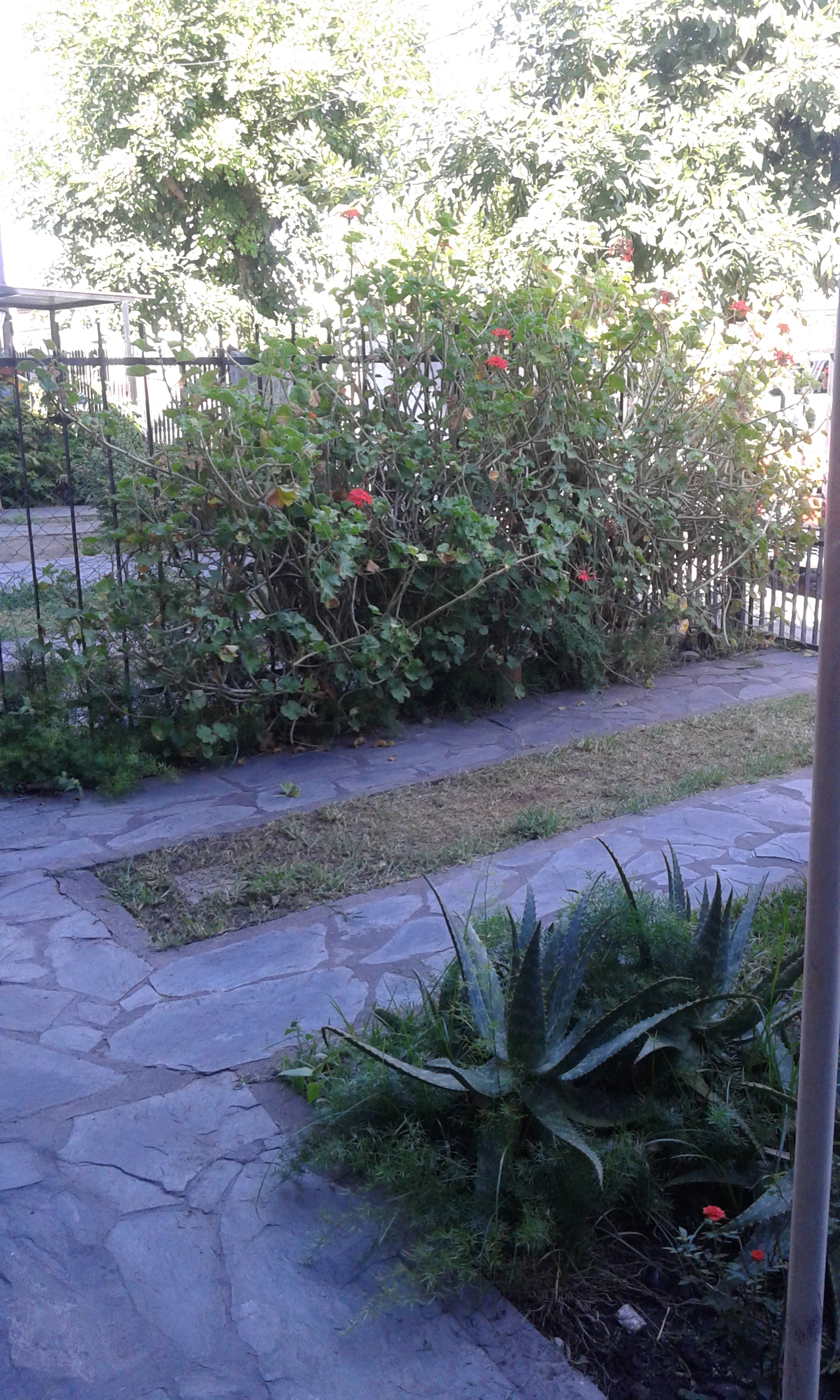 Duplex- 3 ambientes -San Miguel — foto 6