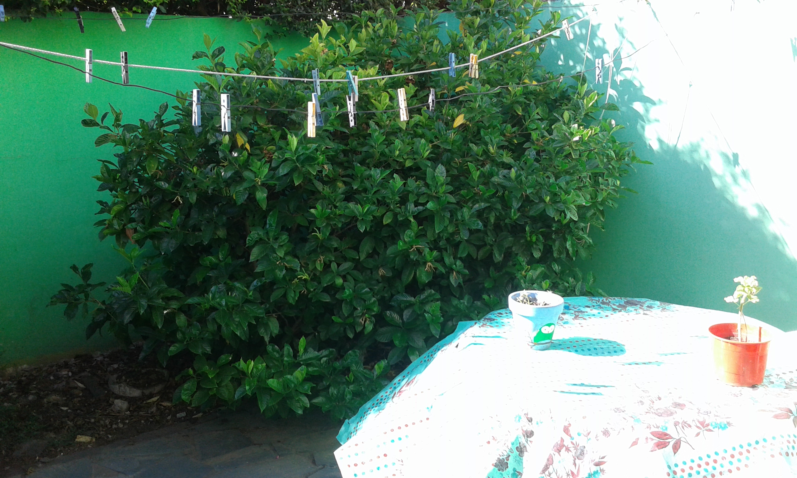 Duplex- 3 ambientes -San Miguel — foto 15