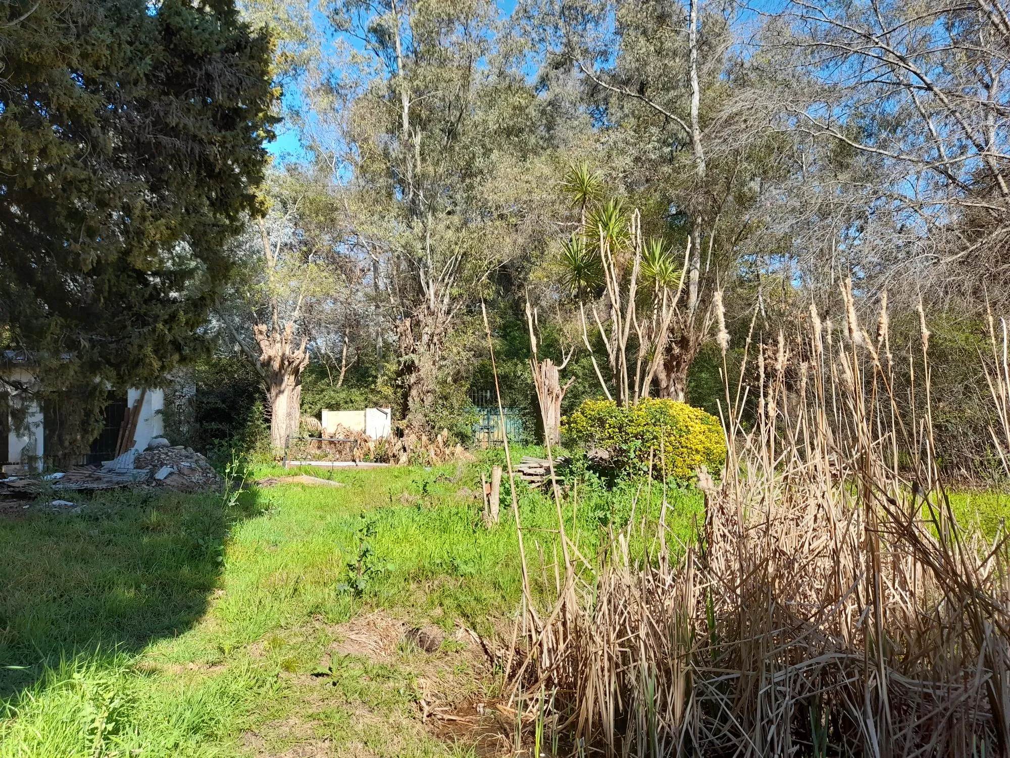 3 excelentes lotes barrio Yei Pora - 6